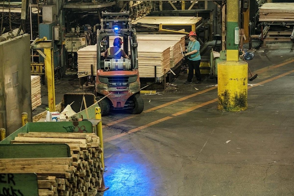 21089484_web1_200326-BPD-west-fraser-quesnel-plywood.bcg_1