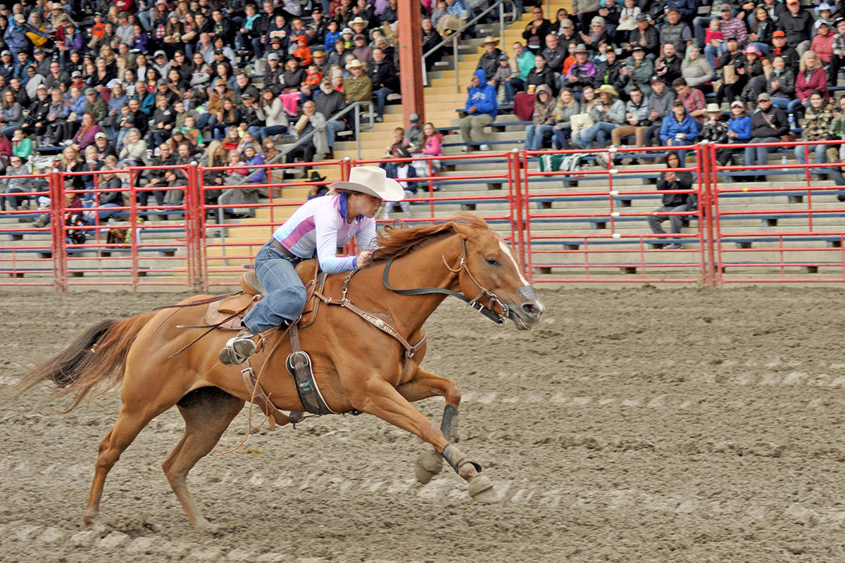 21390561_web1_200427-WCT-WLT-STAMPEDE-_2