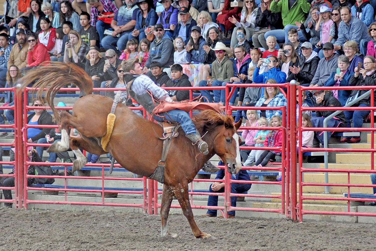 21390561_web1_200427-WCT-WLT-STAMPEDE-_4