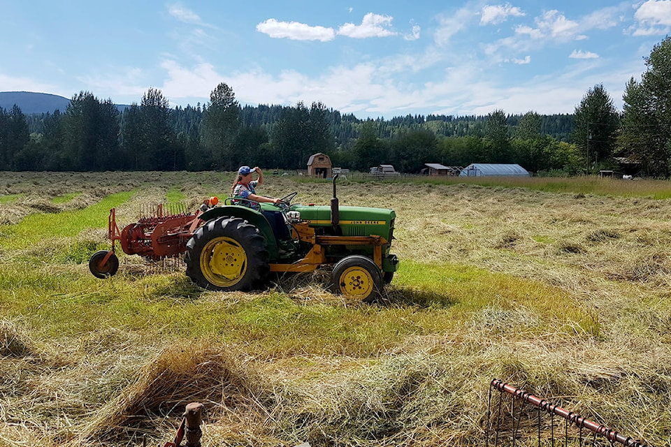 22449469_web1_200818-WLT-QCO-ZirnheltColumnAug19-haying_1