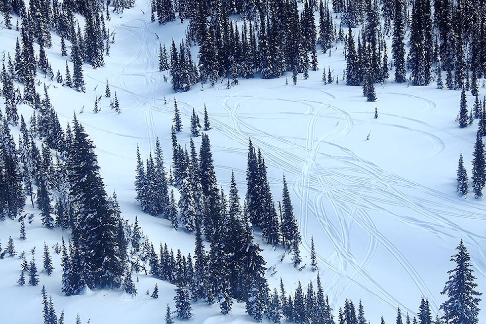 An aerial photograph captures snowmobile tracks in the Cameron Ridge area earlier this year, which is closed to snowmobilers. The closures are in place to protect sensitive caribou herds. (Conservation Officer Service photo)