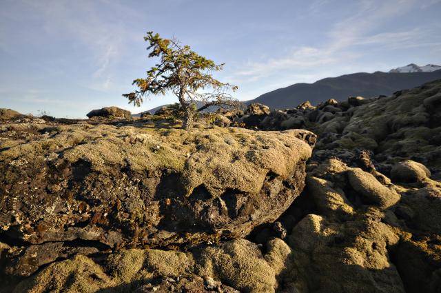 Canadas last volcanic eruption occurred on Nisgaa land approximately 270 years ago. (Nisgaa Lisims Government / Gary Fiegehen)