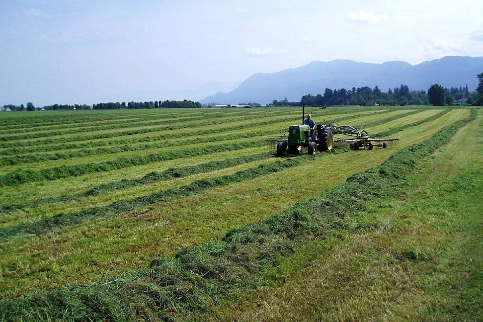 25488465_web1_20210614-BPD-farm-hay-rake-BPfile