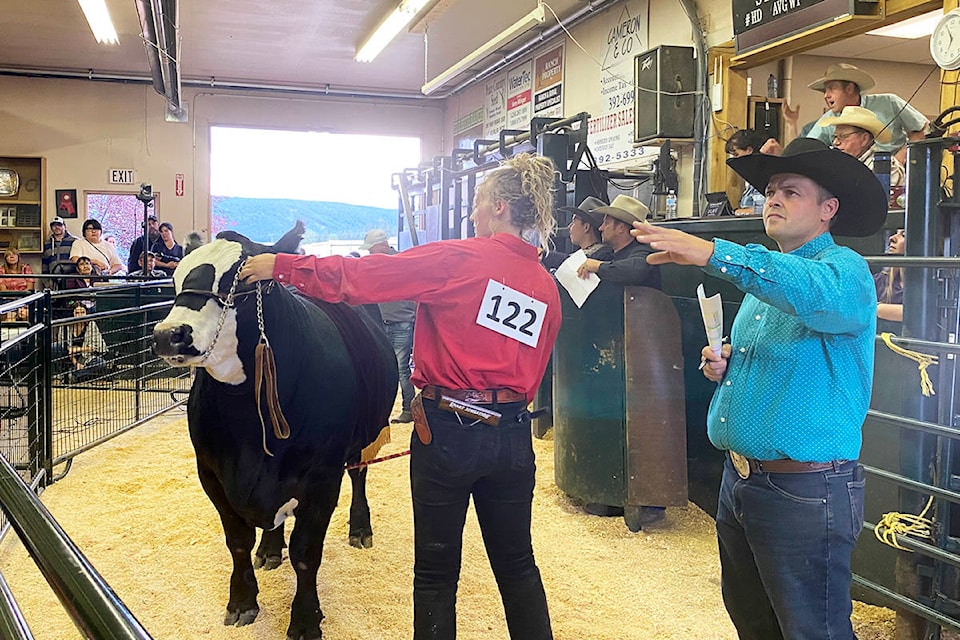 Horsefly 4-H Club member Riata Seelhof enters the ring to sell her Grand Champion steer, with the help of district 4-H president Ross Stafford, at the 63rd Annual Williams Lake and District 4-H Show and Sale Monday night at the Williams Lake Stockyards. (Angie Mindus photo - Williams Lake Tribune)(Angie Mindus photo)