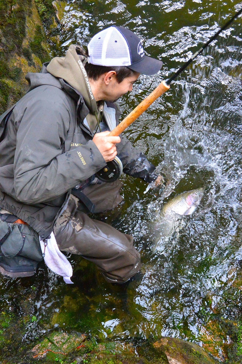 26087269_web1_Steelhead-Catch---Brian-Har