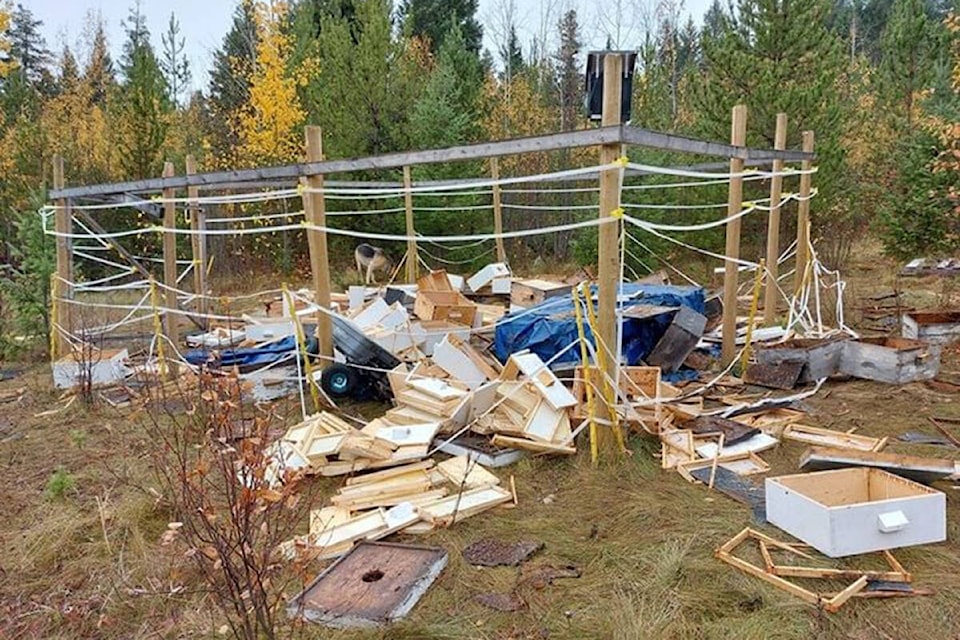 All the remains of a Williams Lake couple’s beehives at their property on Dog Creek Road thanks to a visiting bear. (Don Piller photo)