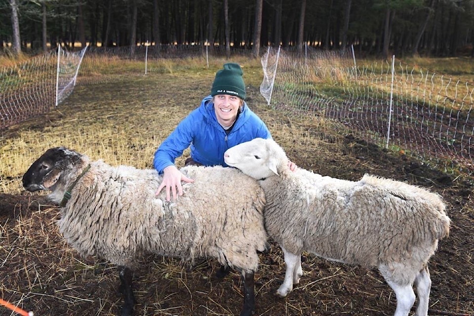 Bryant Race, education intern for UBC’s Alex Fraser Research Forest, is developing programs for youth and said so far, the setting, which includes a couple of resident sheep. (Ruth Lloyd photo - Efteen)