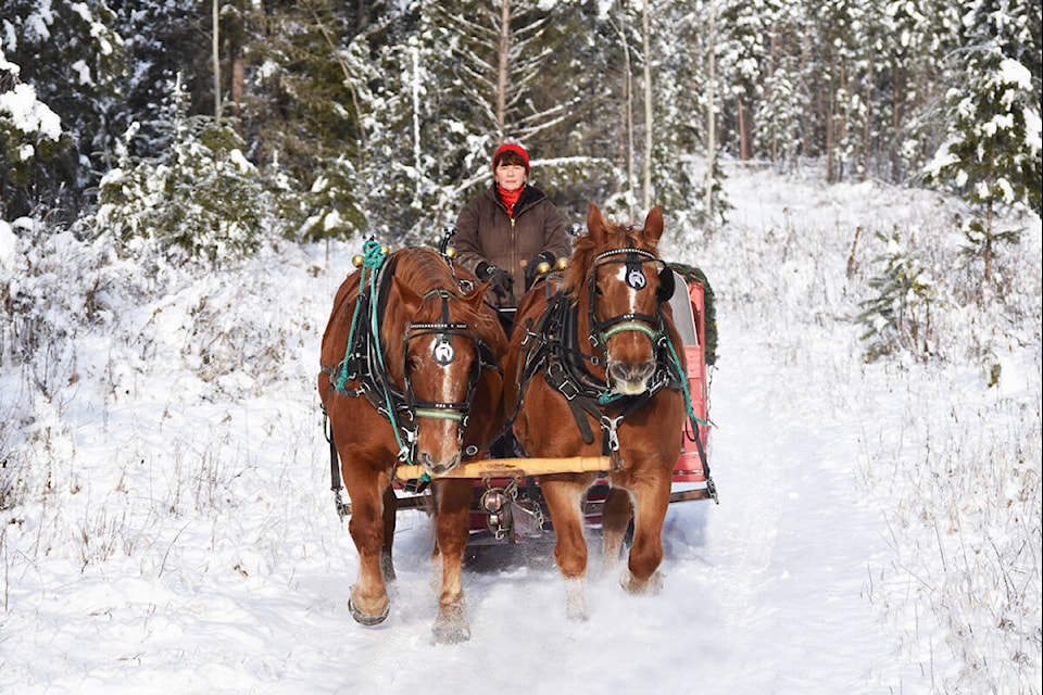 Karen Sepkowski drives her team of horses, Hope and Grace, through freshly fallen snow recently as she and her husband Kim prepare to give sleigh rides this season. (Monica Lamb-Yorski photo - Efteen)
