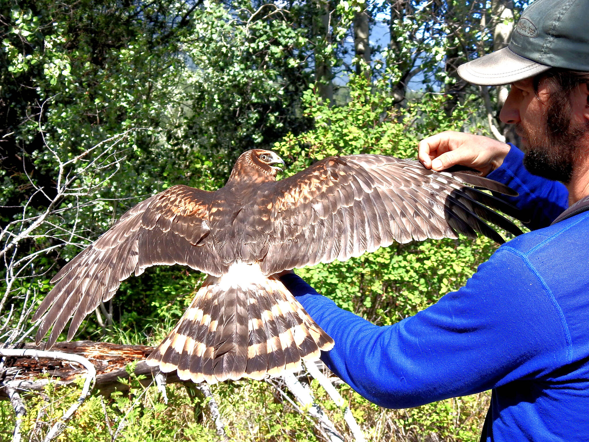 27590673_web1_211223-WLT-tatla-bird-count-tatlalake_3