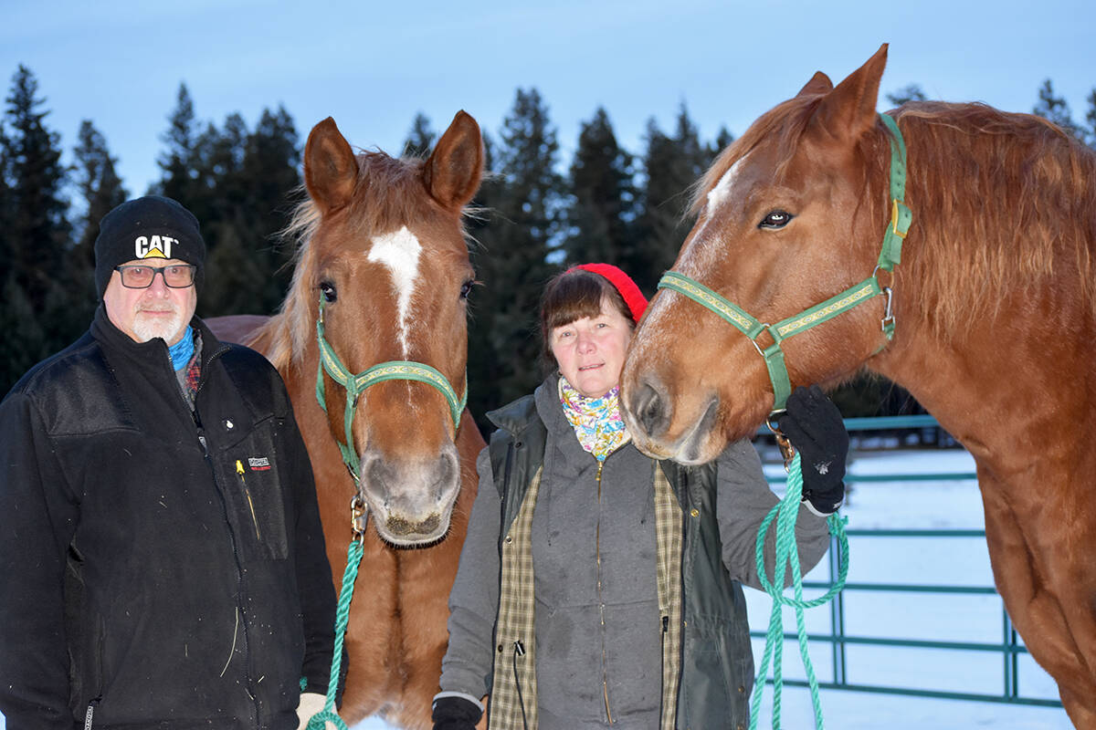 Kim, left, and Karen Sepkowski with their Suffolk Punch horses Grace and Hope are looking forward to offering sleigh rides this winter after having to cancel last years season and part of the season the year before due to COVID-19 restrictions. a(Monica Lamb-Yorski photo - Efteen)