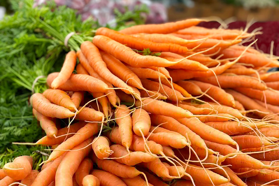 28357718_web1_220310-WLT-FoodHubUpdate-GardenClub-carrots_1
