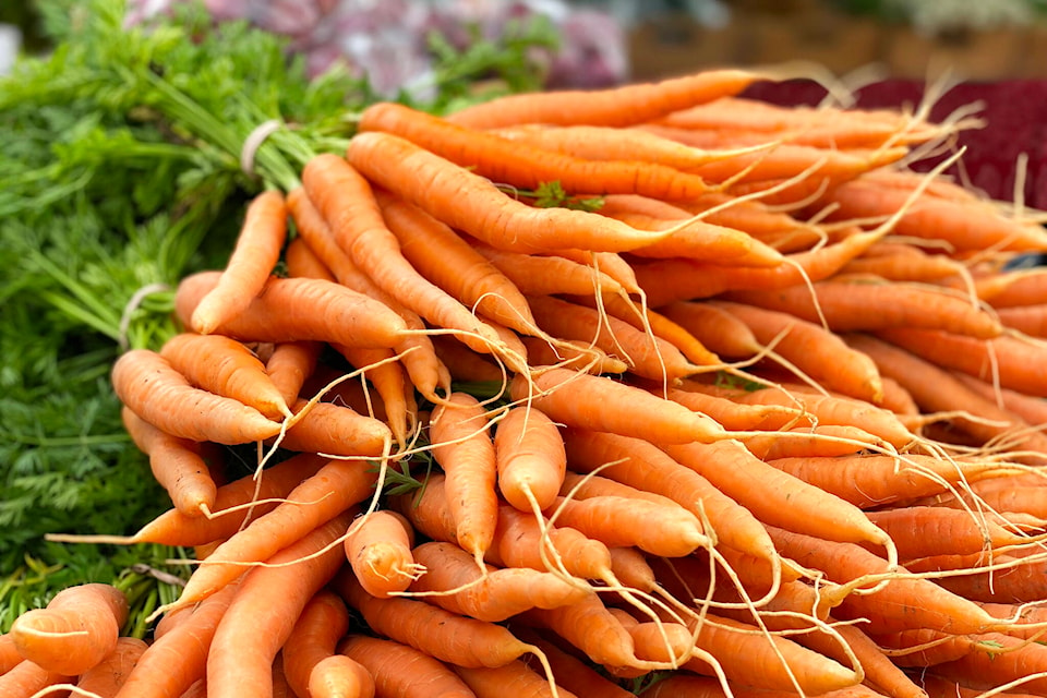 28357718_web1_220310-WLT-FoodHubUpdate-GardenClub-carrots_1