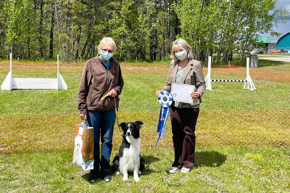 Kay Whitehead from Quesnel, with her border collie “Hollowshot’s Storm in a Tea Cup” accepts her prize for high score in trial from Judge Karen Brearley. (Darlene Borrow photo)
