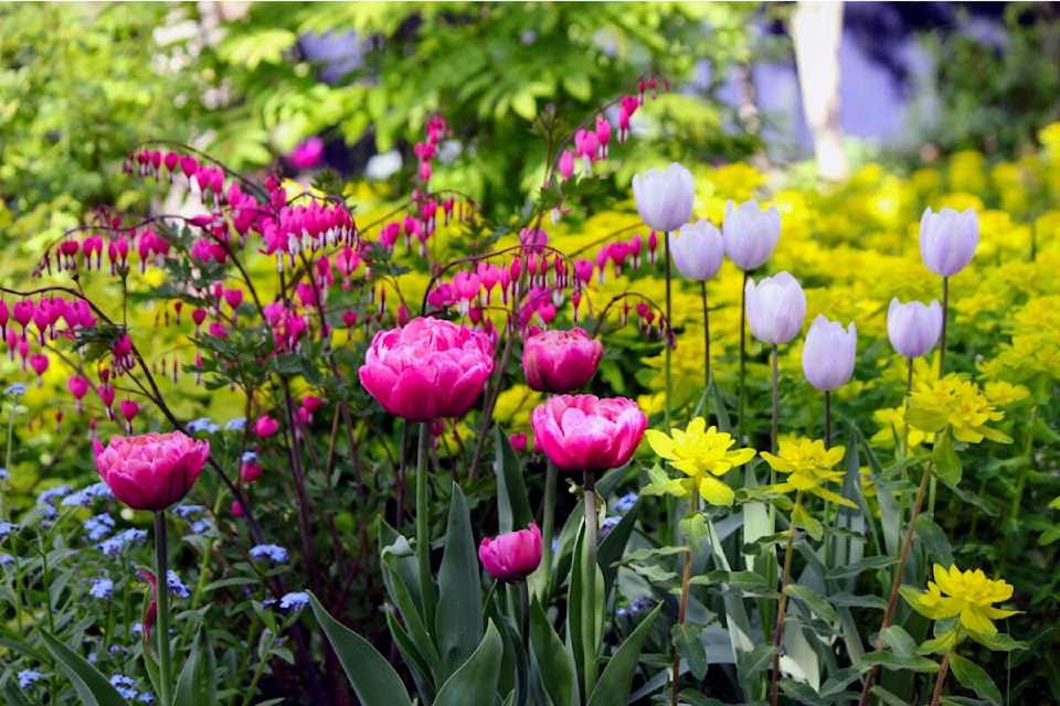 The Williams Lake Garden Club is hosting a garden and art tour July 9. (Erica MacNab photo)