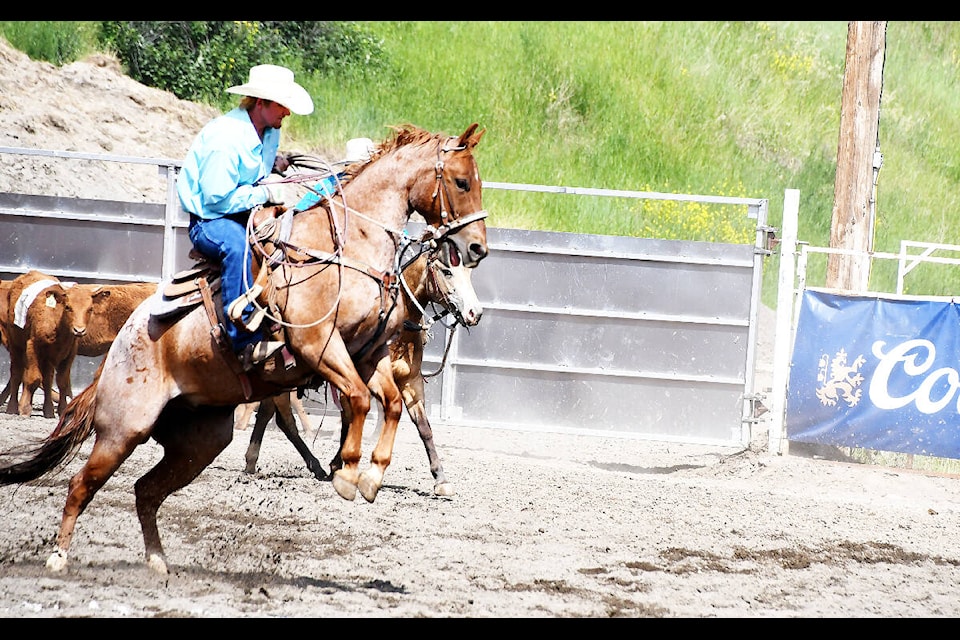 Brock Everett (150 MIle House) was competing in the Williams Lake Stampede’s Ranch Roping on Sunday July 2nd. While his partners were cutting their assigned (numbered) animal from the main herd in the arena, Brock (who was watching the cross-over line) was in another event all on his own. He was In the process of charging forward to keep a wayward animal from crossing the penalty line when his horse took exception to the maneuver, bogged its head and commenced bucking. It was an entertaining added mini-rodeo bonus for the crowd for the seconds it took for Brock to weather the storm. (Liz Twan photo)