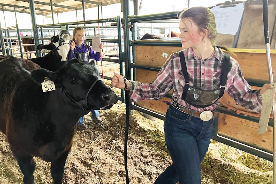 29971725_web1_220804-WLT-Editorial4-H-beef-cattleshow_1