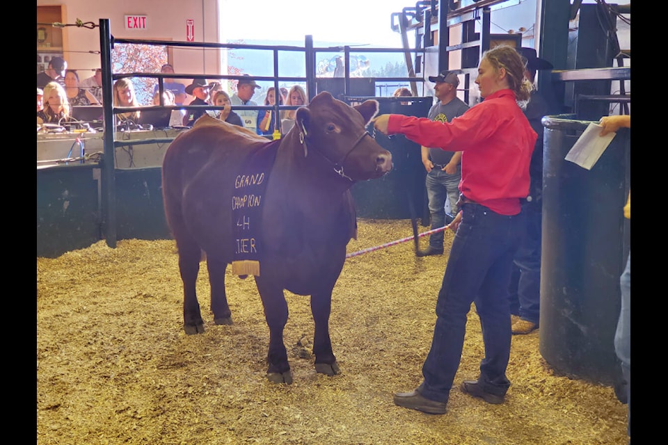 Riata Seelhoff, Horsefly 4-H Club, with her grand champion steer and top home grown steer at the 64th Annual Williams Lake and District 4-H Show and Sale. (Monica Lamb-Yorski photos - Williams Lake Tribune)