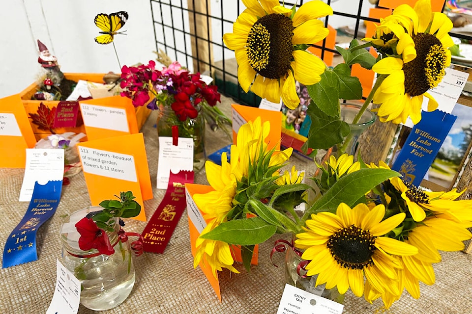 Entries were down but attendance was up at the Williams Lake Harvest Fair in 2022. (Angie Mindus photo - Williams Lake Tribune)