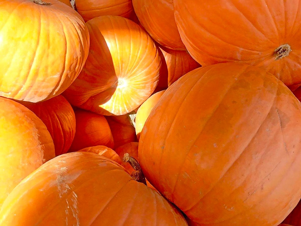 30451748_web1_171018-WLT-HalloweenHappenings_1