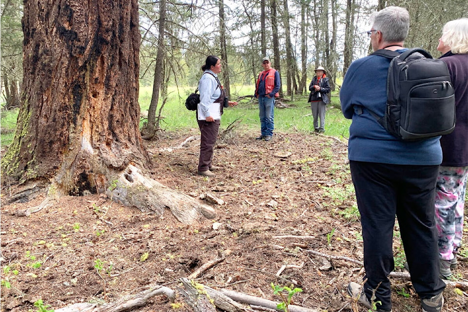 Vanessa Robinson, left, talks about the forest structure during a small sidestep into the Douglas fir forest looking at Cariboo wildflowers for an Cariboo Chilcotin Elder College workshop on May 28, 2022. (Ruth Lloyd photo - Williams Lake Tribune)