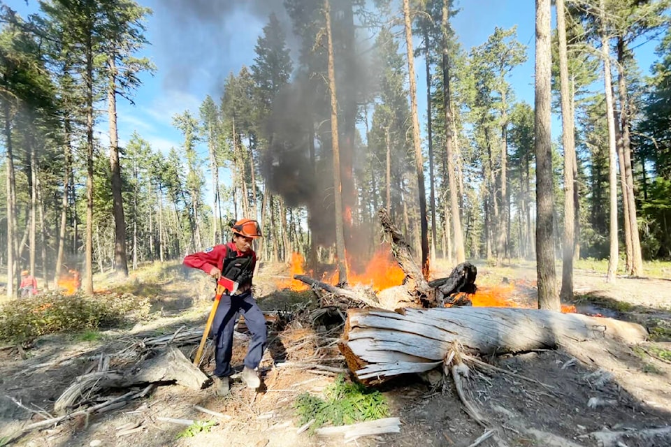 Darren Stanislaus from the Cariboo Fire Centre walks next to the burn just after ignition on Sept. 22, 2022.. Stanislaus is a fire keeper from Esk’et and has been working with BC Wildfire to bring cultural burning back to the land. (Ruth Lloyd photo - Williams Lake Tribune)