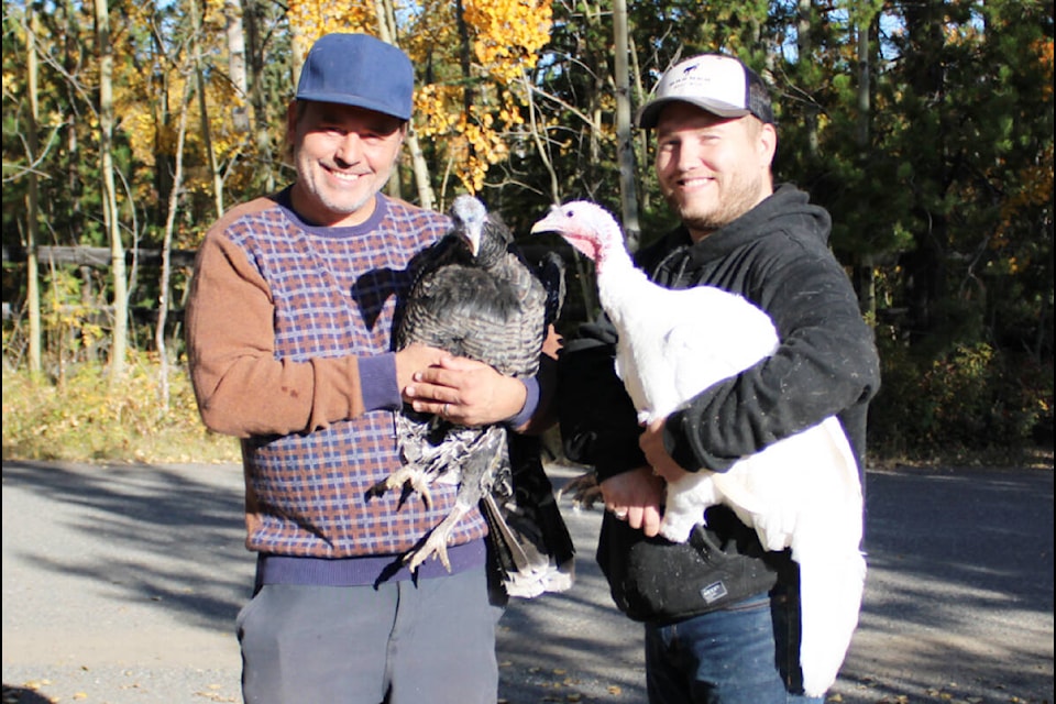 Rick McKinney (L) holds a Ridley Bronze, a Canadian turkey that was developed by John Richardson in Saskatchewan. These birds are large, reproduce naturally and have a relaxed temperament. Bo McKinney (R) is holding a Beltsville turkey. This gentle breed is listed as critically endangered as its smaller size makes it unattractive to commercial demands. (Fiona Grisswell photo - 100 Mile Free Press)