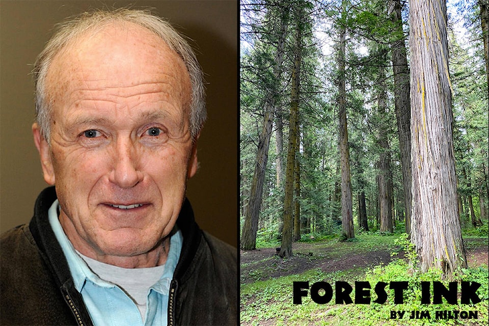 Jim Hilton pens a column on forestry each week for the Williams Lake Tribune.