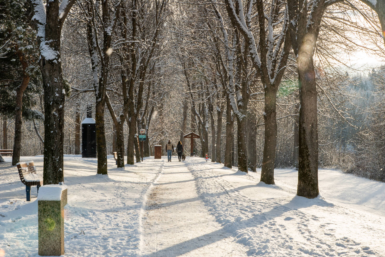 Enjoy a winter stroll along Quesnels year-round Riverfront Trail, where you can view the ice formations on the Quesnel and Fraser rivers. Photo courtesy Explore Cariboo