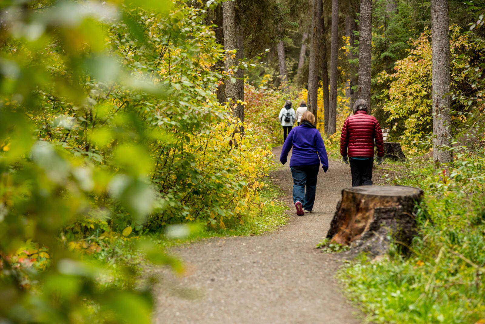 100 Mile House trail. Whether you prefer hiking forest trails or mountain meadows, youll find in the Cariboo! Photo courtesy Explore Cariboo