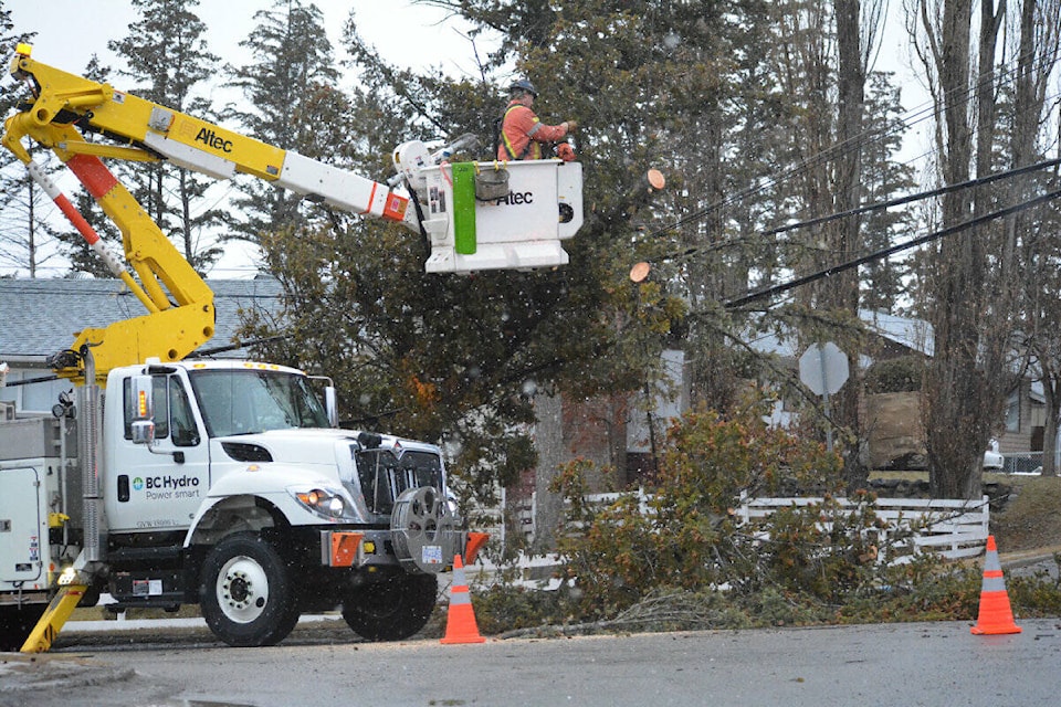 BC Hydro crews remove a downed tree from power lines at Fourth Avenue North and Gibbon Street Tuesday, Feb. 7. (Monica Lamb-Yorski photo - Williams Lake Tribune)