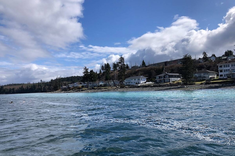 The Marine Detective Jackie Hildering snapped this photo of the herring spawn with a telephoto lens. (Jackie Hildering photo)