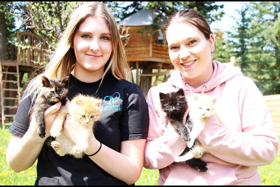 Brooklyn McMichael and Krystal Dickinson have been looking after Jughead, Archie, Veronica and Betty since they rescued the kittens from the streets of 100 Mile House last week. (Patrick Davies photo - 100 Mile Free Press)