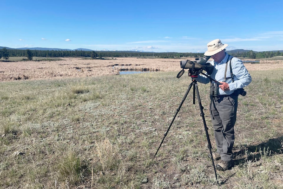 Sandy Proulx looks through his spotting scope on Chilanko Marsh in the Chilcotin. (Ruth Lloyd photo - Williams Lake Tribune)