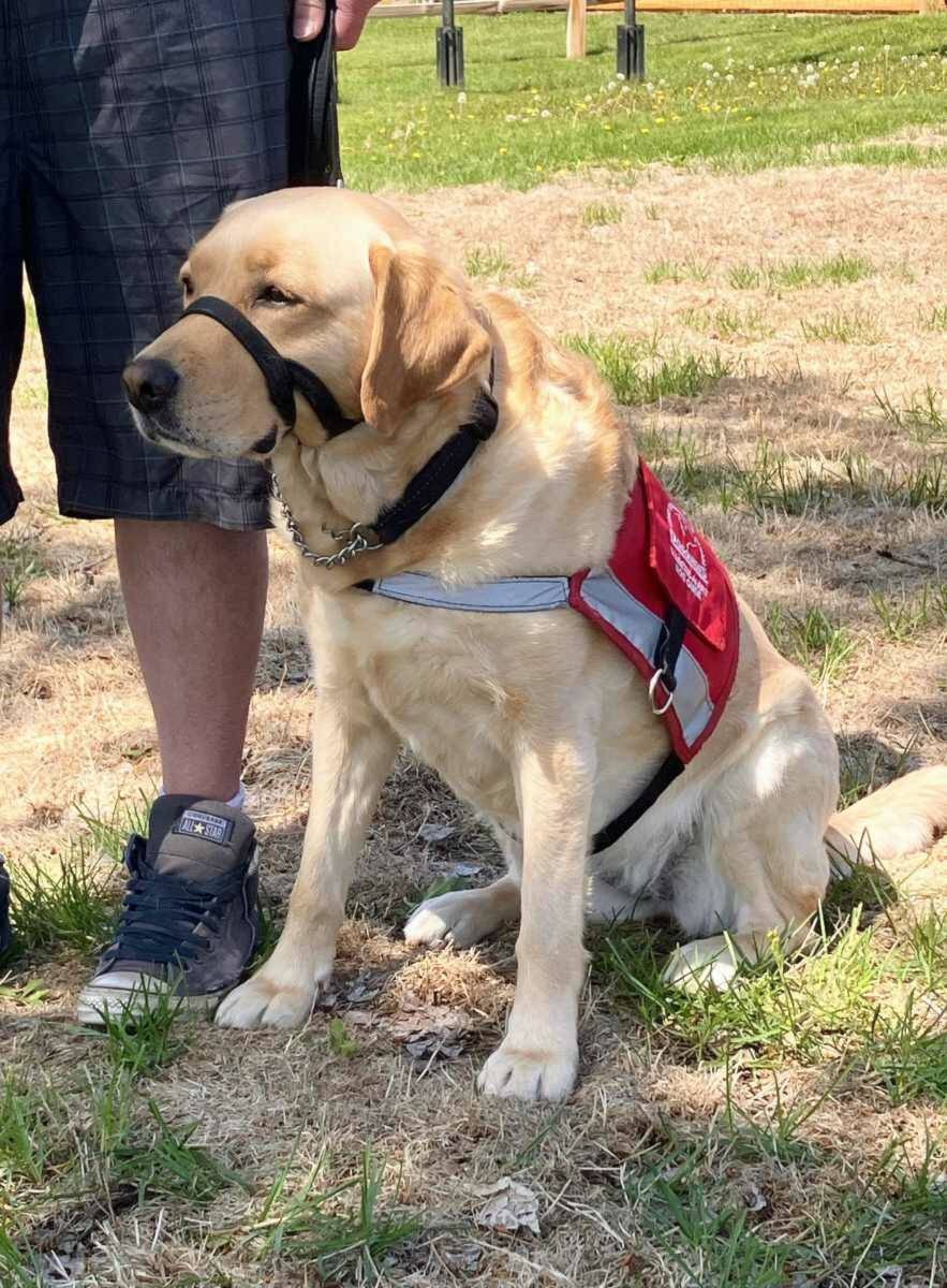 32849976_web1_230106-OMH-Service-Dogs-_1
