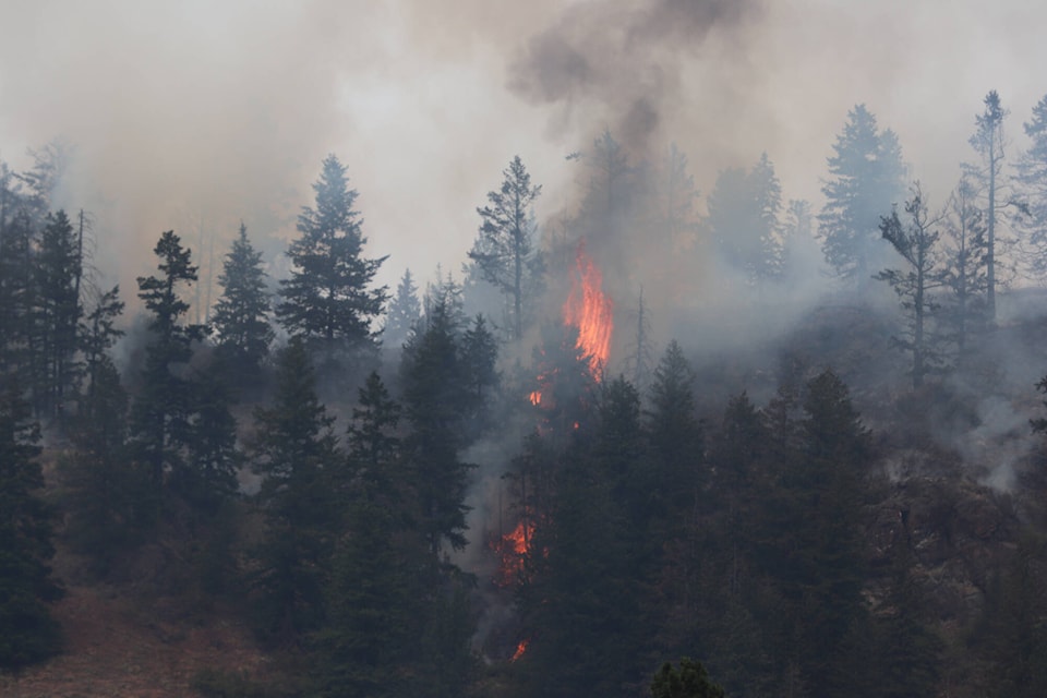 33257913_web1_230713-VMS-Horseshoe-wildfire-1_1