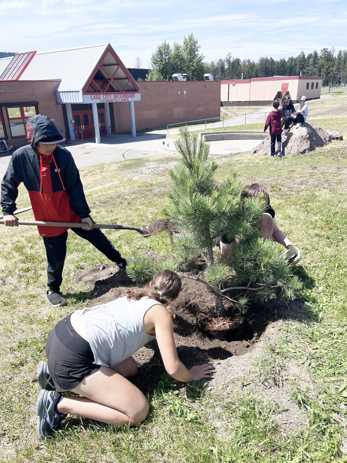 Kya Swanson, from front, and Drayton Alphonse, plant a Ponderosa Pine tree in front of Columneetza as part of direct climate action to mitigate the heat island effect of the parking lot and buildings at the school. (Frances McCoubrey photo)