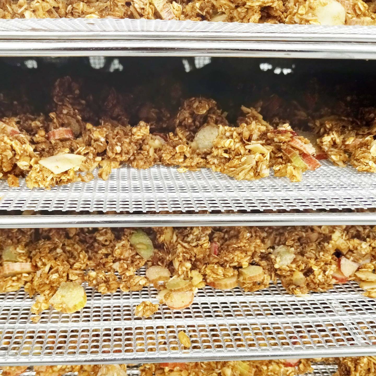 33673519_web1_230901-BPD-HARVEST-BCNORTH-QCO-SproutKitchen-QCO-Sprout-Kitchen_3
