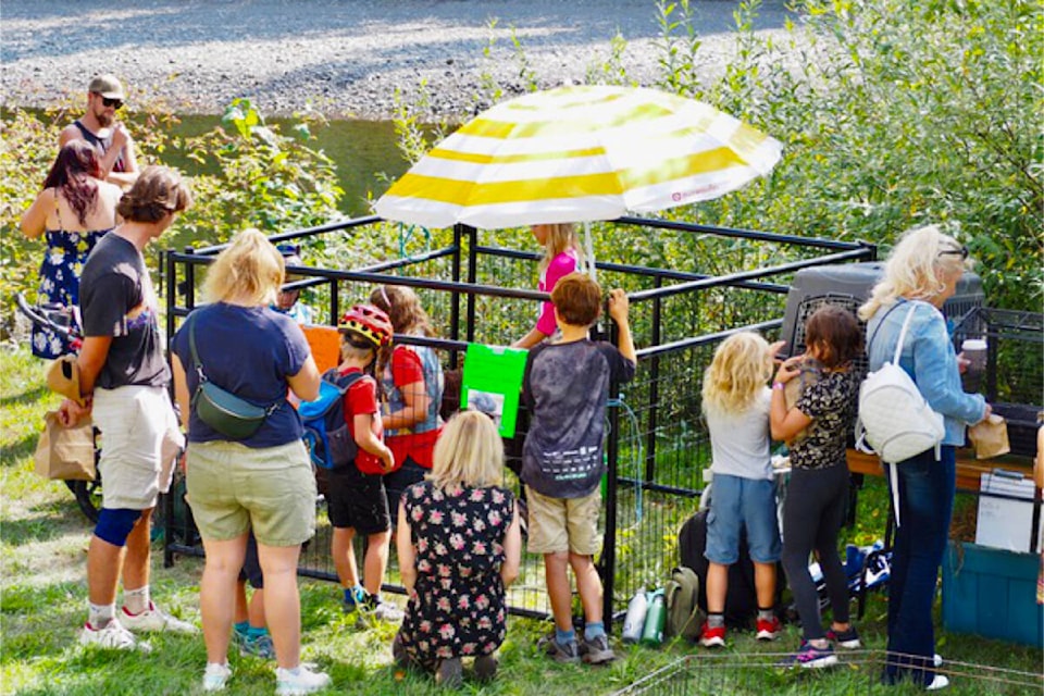 Onlookers admiring the animals. (Amber Hoessl photo)