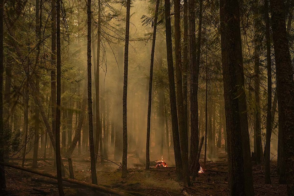 34042431_web1_230927-CPW-Fire-danger-drops_1