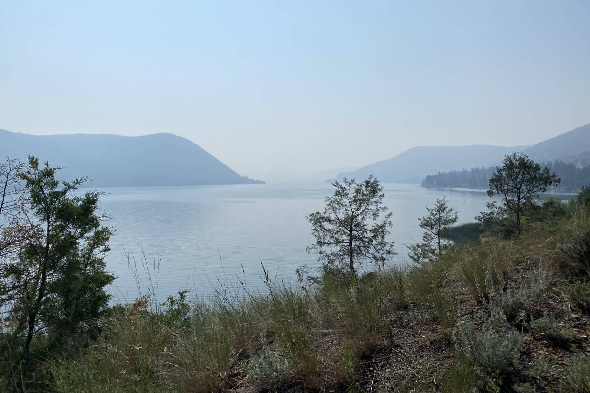 33607087_web1_230905-WLT-CasualCountry-ScoutIsland-Scout-Island-Sue-Hemphill-Megan-Taylor_8