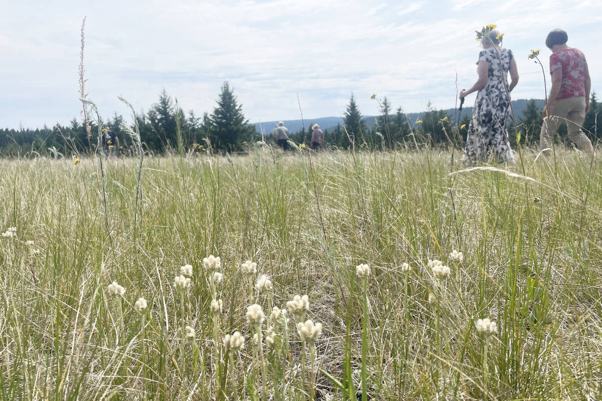 33644888_web1_230823-WLT-CASUALCOUNTRY-Grasslands_11