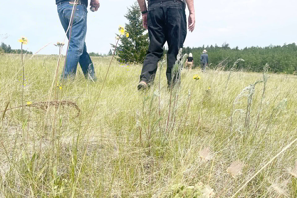 33644888_web1_230823-WLT-CASUALCOUNTRY-Grasslands_2