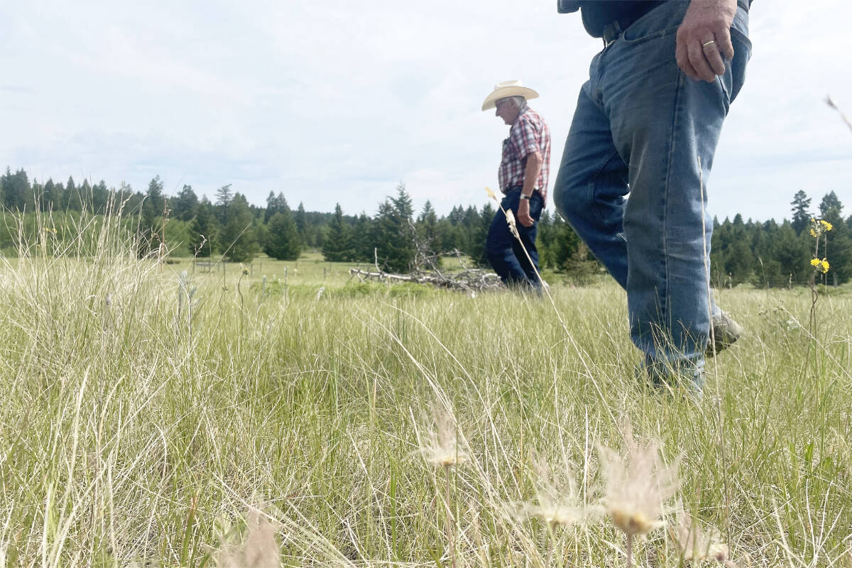 33644888_web1_230823-WLT-CASUALCOUNTRY-Grasslands_6