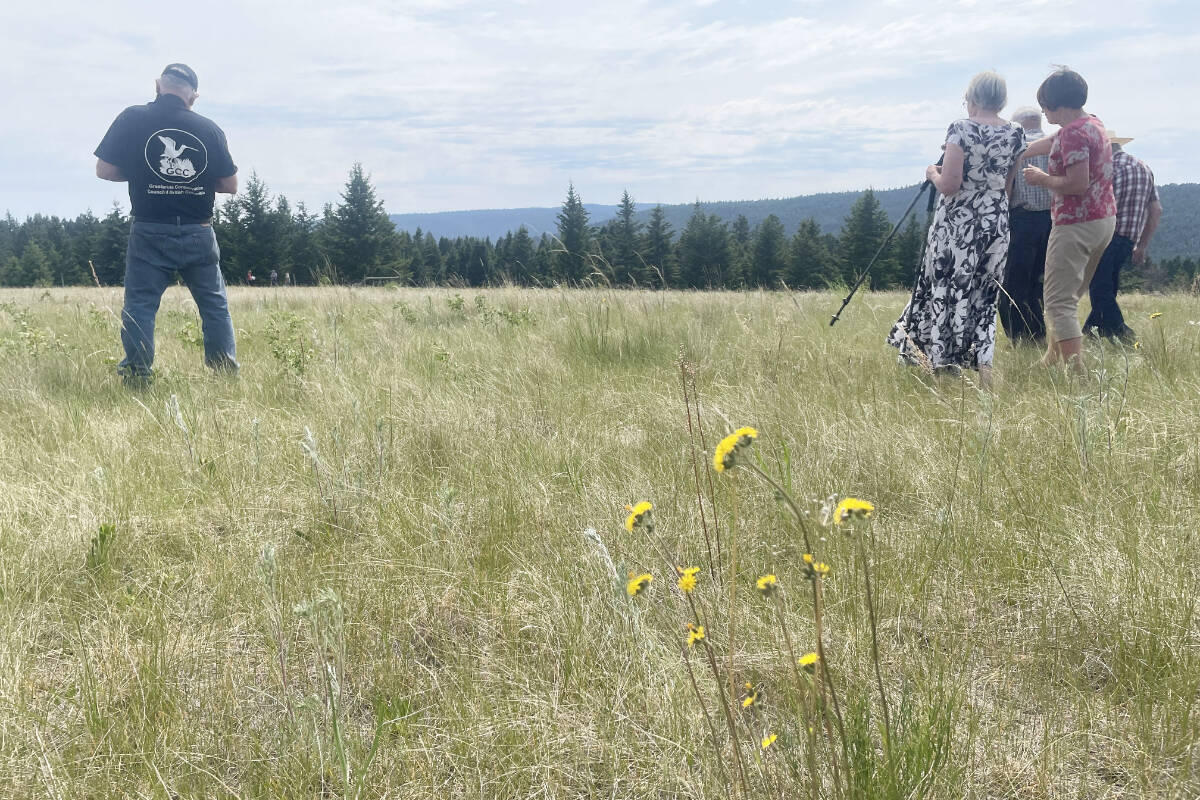 33644888_web1_230823-WLT-CASUALCOUNTRY-Grasslands_9