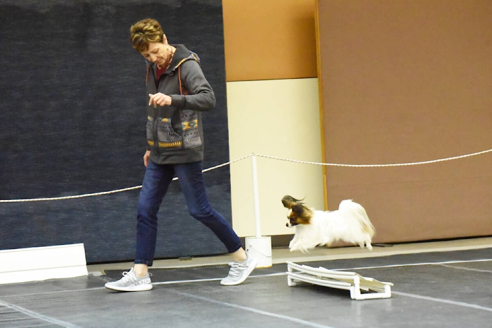Sindee Broen and her Papillon Peanut take part in a dog training seminar. (Angie Mindus photo - Efteen)