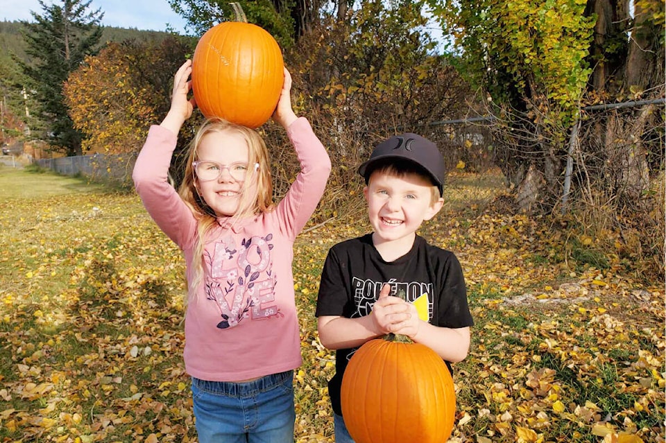 34208346_web1_231019-WLT-Pumpkin-Patch-WLFN_1