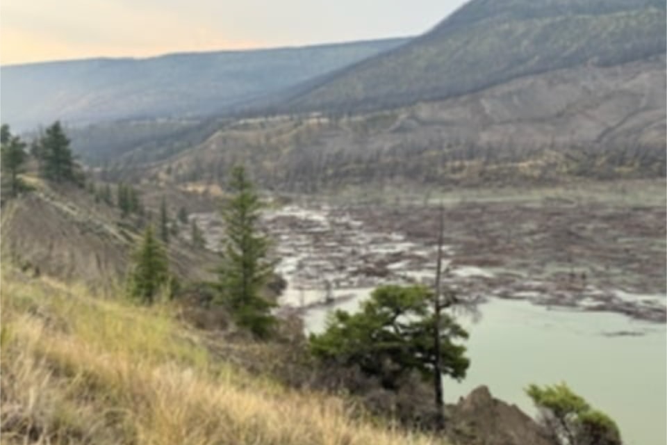 The view of the Chilcotin River landslide below Ilnicki Ranch 7 a.m. Monday, Aug. 5. 