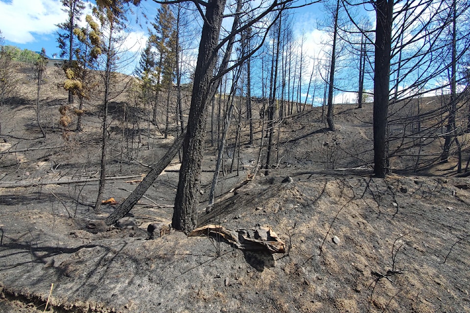 Evidence of how hot the river valley fire was in Williams Lake. 