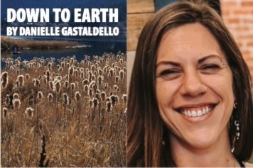 danielle-gastaldello-large