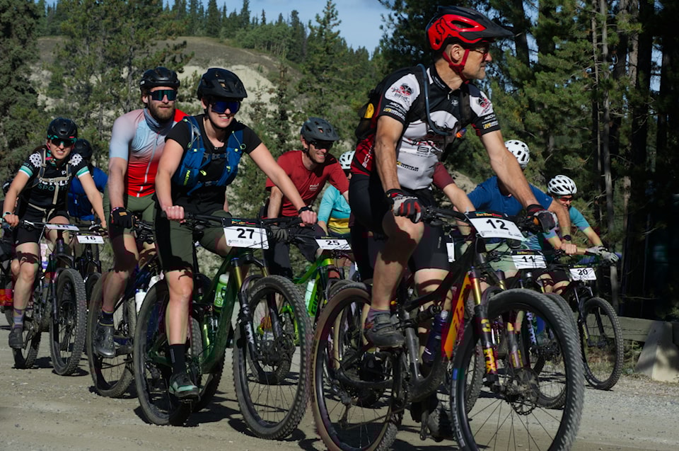 Fat tire cycling jersey shop